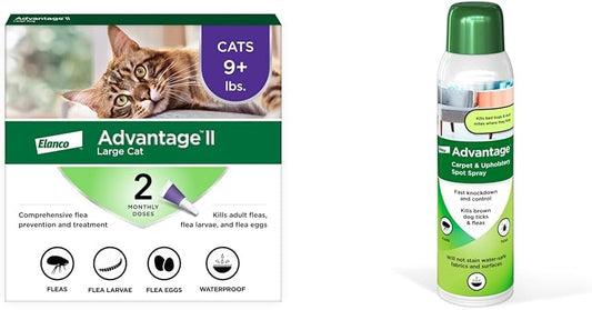 Bundle of Advantage II Vet-Recommended Flea Treatment & Prevention | Cats Over 9 lbs. + Advantage Carpet & Upholstery Spot Spray 16 oz.