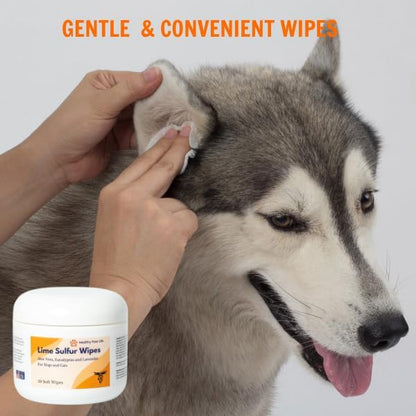 Healthy Paw Life Lime Sulfur Cream (2 oz) and Lime Sulfur Wipes (50 ct) Bundle for Pet Skin Care - for Dogs and Cats