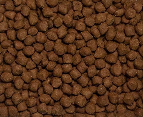 Ketogenic Pet Foods - Keto-Foundation - High Protein, High Fat, Low Carb Dog & Cat Food - 18 lb. Bag