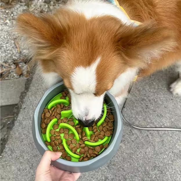 2 in 1 Slow Feed Dog Bowl with Anti-Choking Design, 7.5 Inch Pet Food Dish, Pink, Blue, Green (Pink)