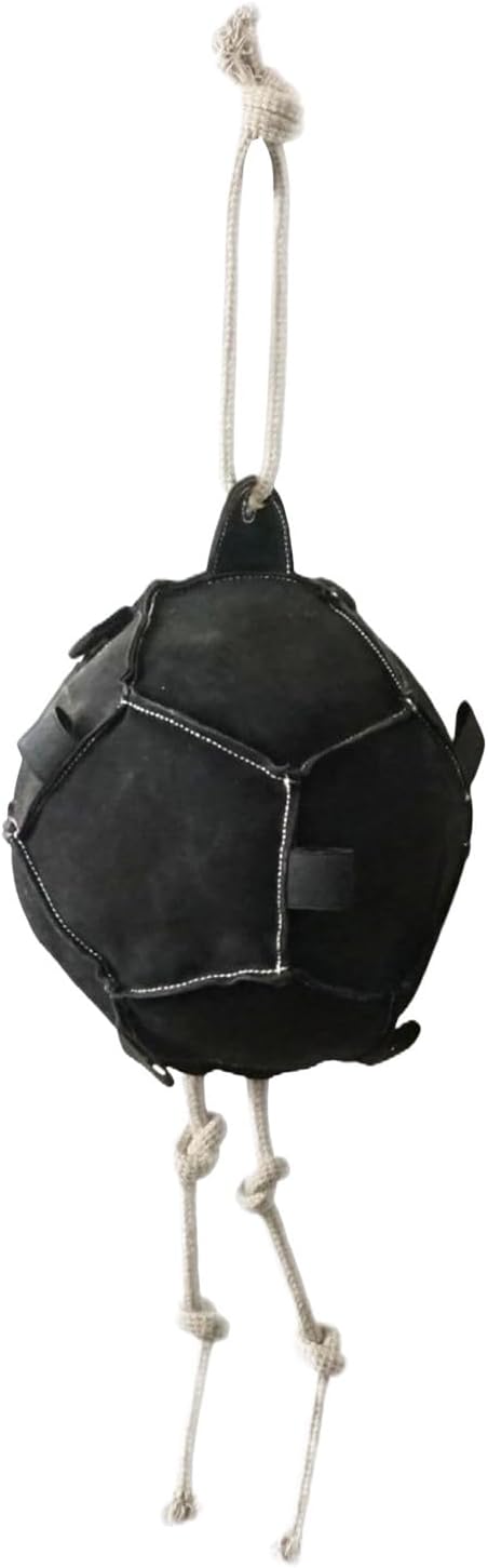 Horse Carrot Feeding Ball Toy, Horse Training Ball Toy, Slow Feed Carrot Feeder, Hanging Carrots Feeding Toys for Training Farm Goat Stable Field Boredom