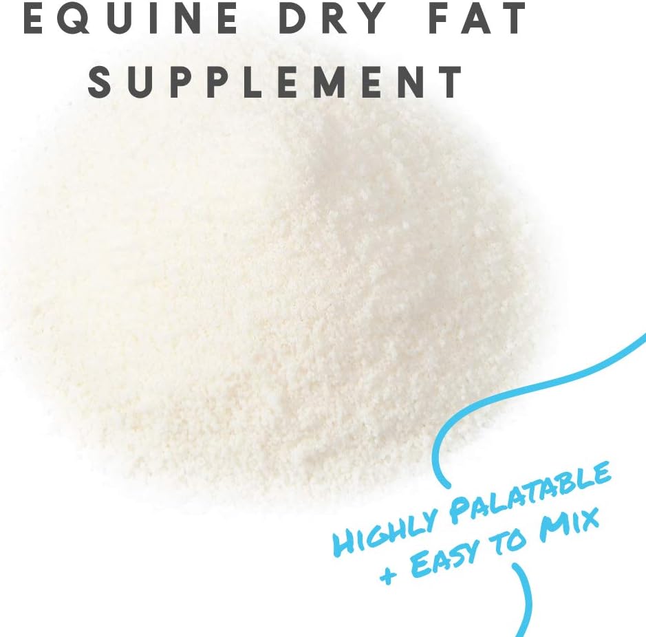 Manna Pro Cool Calories 100 – High-Calorie Dry Fat Supplement for Horses – Supports Healthy Weight Gain, Body Condition, and Performance – Equine Weight Gain Formula – 8 lb Bag