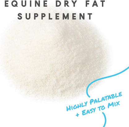 Manna Pro Cool Calories 100 – High-Calorie Dry Fat Supplement for Horses – Supports Healthy Weight Gain, Body Condition, and Performance – Equine Weight Gain Formula – 8 lb Bag