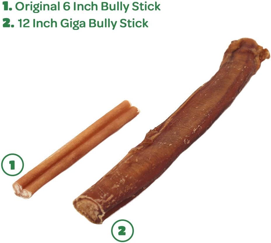 GigaBite 12" Giga Bully Sticks (Pack of 8) - All Natural, Free Range Beef Pizzle Dog Treat - by Best Pet Supplies