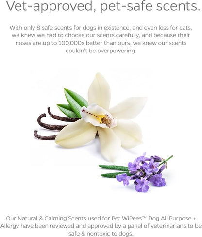 Pet Parents® Pet WiPees™ Dog All Purpose + Allergy Dog Wipes, Pet Wipes for Dogs, Puppy Wipes & Paw Wipes, Large Dog Wipes (100 Count (Pack of 4), Natural)