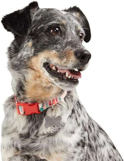 YOULY Hawaiian Dog Collar Small