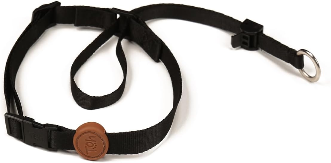 Dog Head Collar, Stylish Design with Buckle Closure, Easy to Use Puppy Dog Collar, Adjustable Dog Halters Suitable for Dogs Training Outdoor Walking (Black, Small)