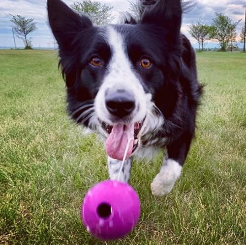 Chew King Fetch Balls Extremely Durable Natural Rubber Toy Pack of 3 - 3 inch Balls (CM-0263-CS01)