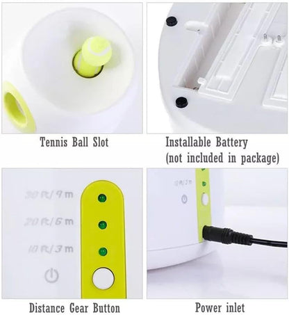 Compact Automatic Dog Ball Launcher Interactive Fetch Machine