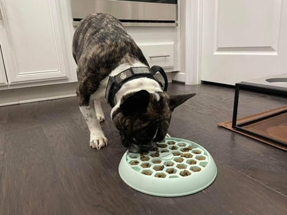 Small Big Dog's Enrichment Bowl and Lick Mat- Top Slow Feeder, Bottom Lick Mat, Soft on Nose Design Breeds, Focus on Dogs w/Short Snouts Like Frenchies, Silicone, Dishwasher Safe