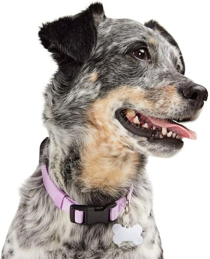 YOULY Adjustable Dog Collar Lavender Large