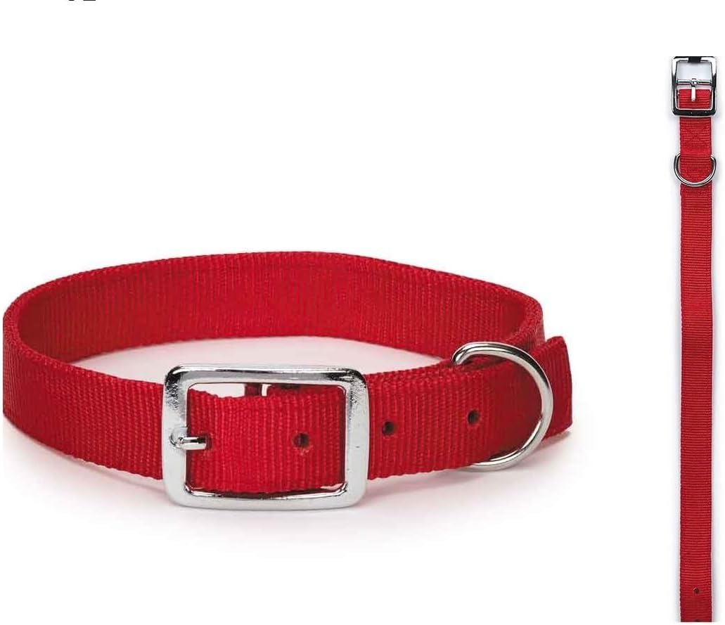 Bright Red Dog Collars Double Thick Nylon Strong Metal Buckle Heavy Duty (13 to 16 Inch)