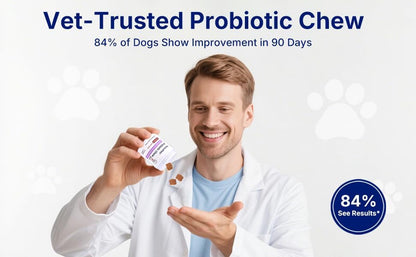 Probiotics for Dogs,Dog Probiotic Supplements,Canine Nutritional Supplement,Health Supplies,Gastrointestinal Health Promotes Digestion and Nutrient Absorption, 90 Soft Chews