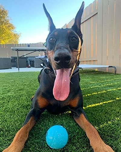 Chew King Fetch Balls Extremely Durable Natural Rubber Toy Pack of 3 - 3 inch Balls (CM-0263-CS01)