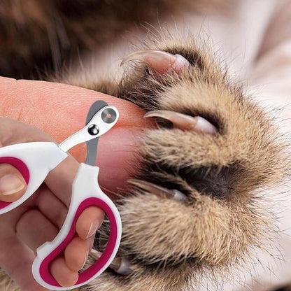 Cat Nail Clippers, Cat Claw Trimmers, Suitable for Small Animals Such as Cats, Birds, Hamsters, Rabbits, ferrets, Chinchillas, Guinea pigs, Professional Nail Trimmers for Small Animals at Claw Care