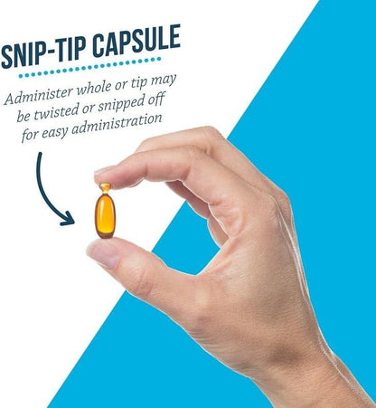 Free Form Snip Tips Omega-3 Fish Oil Liquid Supplement for Small Dogs and Cats, 60 Count