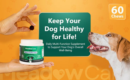 Multi-Function Supplement for Dogs | Supportive Daily Nutritional Soft Chews | Joint Mobility, Skin & Coat | Immune Support with Probiotics | 60 Count, 180 g (6.35 oz) | by Meadowcare