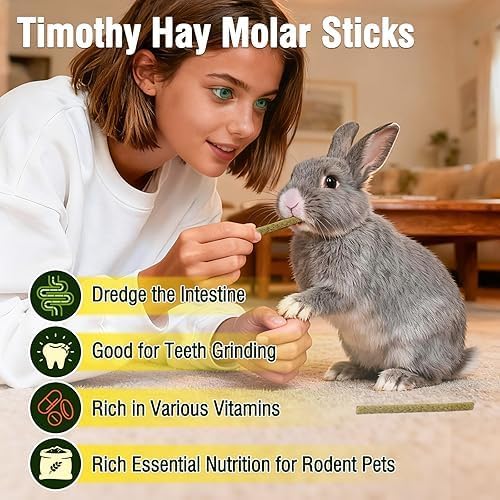 Small Animal Timothy Hay Treats for Hamsters, Golden Hamsters, Guinea Pigs, Natural Healthy Chewing Sticks C