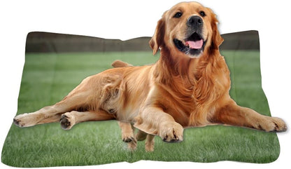 Golden Retriever Cute Indoor Dog Bed Washable Crate Mat Pad for Dog Crate Washable Bed for Dogs Non-Slip Chew Resistant Kennel Beds Crates Medium Comfort Mat Pet Paw Cushion Indoor Outdoor 24X18 Inch