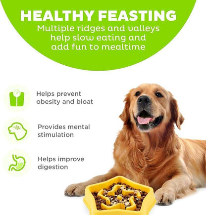 Hound Medium Slow Feeder Bowl, Puzzle Maze for Fast Eaters, Small to Medium Dogs, Helps Prevent Bloat & Aid Digestion, Holds 2 Cups Wet or Dry Food, Non-Slip, Made Without BPA