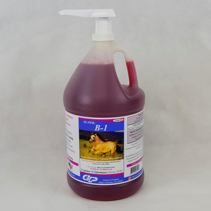 SU-PER B-1 Horse Calming Supplement - Equine Vitamin B-1 Support Horse Calmer Liquid - Appetite Booster Supplement for Horses - 1 Gallon + Pump, 4 Month Supply