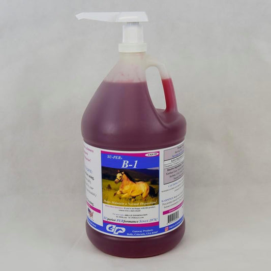 SU-PER B-1 Horse Calming Supplement - Equine Vitamin B-1 Support Horse Calmer Liquid - Appetite Booster Supplement for Horses - 1 Gallon + Pump, 4 Month Supply