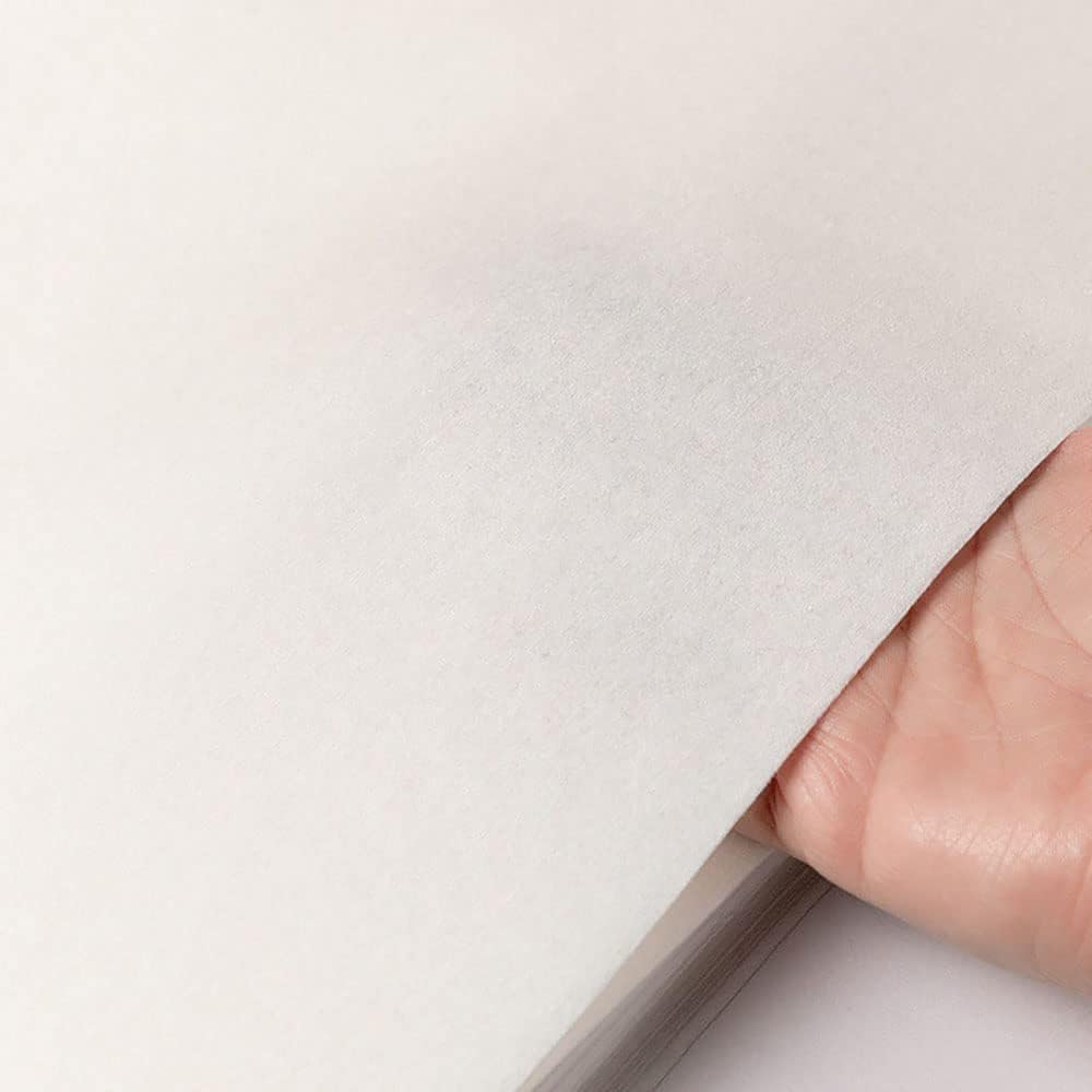 Firdnyohs 100PCS Bird Cage Liner Papers, Disposable Cage Paper Liners Precut Absorbent Cushion Pad Mat Accessories for Pet Bird Parrot (White)