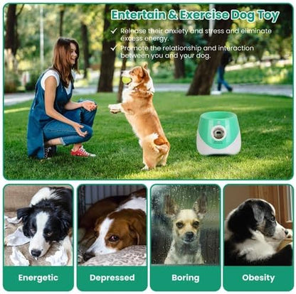 Automatic Dog Ball Launcher, Dog Ball Thrower Interactive Fetch Machine with 6 Tennis Balls 3 Adjustable Launch Distance for Small Medium Dogs