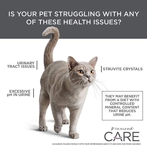 Diamond CARE Urinary Support Cat 15lb