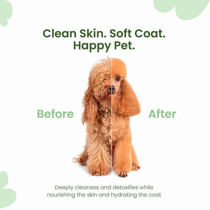 Best Shot Scentament Spa Fortifying Conditioner for Dogs & Cats, Moisturizing & Detangling Conditioner, Strengthens Coat, Gentle Grooming Formula, Sweet Magnolia Scent, 16 fl oz