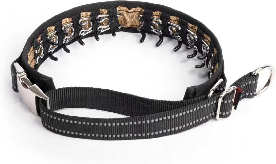 Hidden Prong Collar, Heavy Duty Martingale Design with Quick Release Metal Buckle, Nylon Slip Anti Pull Pinch Collar for Dog Behavior Training, Adjustable for Medium to Large Dogs.