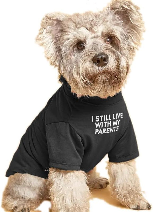 Cute Dog Clothes,Dog T Shirt for Medium Dogs, Small Dogs Girl Boy,Puppy.Breathable Soft Dogs Costume Pet Cats,Pet Pullover Jumper,Cat Clothes (S-(4~8lb), Chest~14",Black, Parents