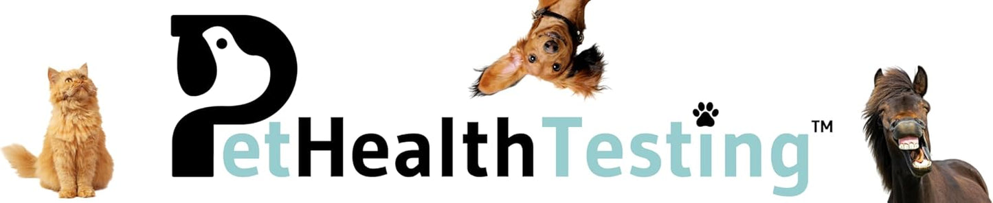 Horse Food Intolerance Test | Sensitivity Food Test Kit | Suitable for All Ages and Breeds | Easy to Use | Non-Invasive Fur Sample | 300 Item Test | Results Report in 3 Days | U.S Based Testing