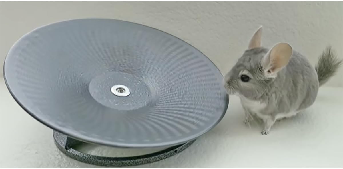 Treadmill Wheel 14" Black - All Metal Exercise Wheel for Chinchillas, Prairie Dogs, Rats, Hedgehogs, Sugar Gliders, Squirrels, Degus, Hamsters & Other Small Animals - Smooth, Fast, Silent, Durable