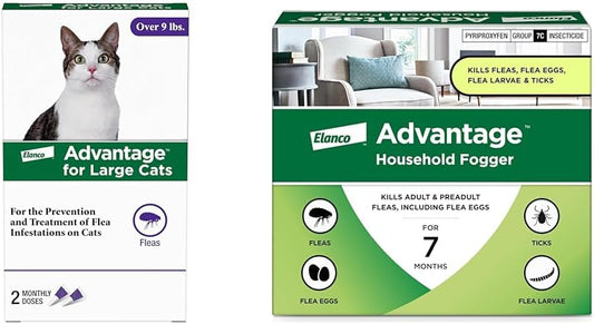 Bundle of Advantage Topical Flea Treatment and Prevention for Large Cats Over 9 lbs. + Advantage Household Flea Fogger for Home | 2 oz. Canisters (Pack of 3)