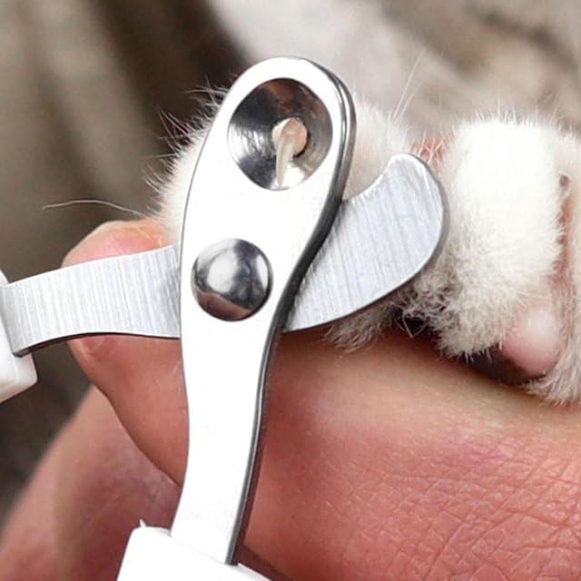 Cat Nail Clippers, Cat Claw Trimmers, Suitable for Small Animals Such as Cats, Birds, Hamsters, Rabbits, ferrets, Chinchillas, Guinea pigs, Professional Nail Trimmers for Small Animals at Claw Care