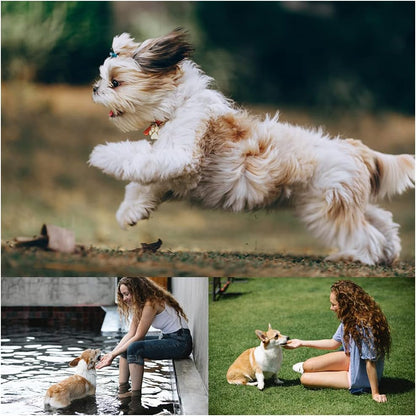 Bvrbaory 6 Pack Dog Flying Discs - Interactive, Soft Floating Saucer for Small, Medium Dogs - Safe on Teeth