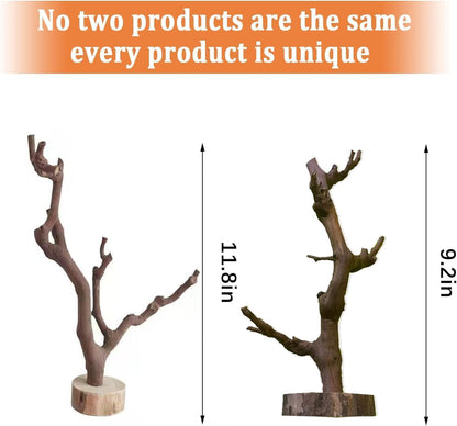 BNOSDM Reptile Grapevine Wood Decoration, Wooden Climb Tree Branch Decor, Grape Wood Branches for Leopard Gecko Lizard Frog Snake