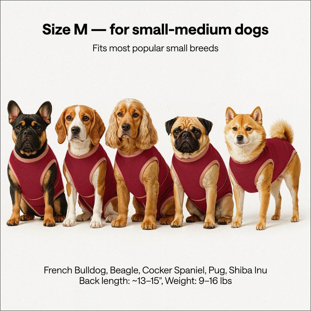 Dog Surgery Recovery Suit for Medium Dogs – Soft Cotton-Spandex Post-Surgery Bodysuit with Snap Buttons – Includes Chew Toy, Hygiene Sticker & Zip Bag – Cone Alternative for Medium Breeds