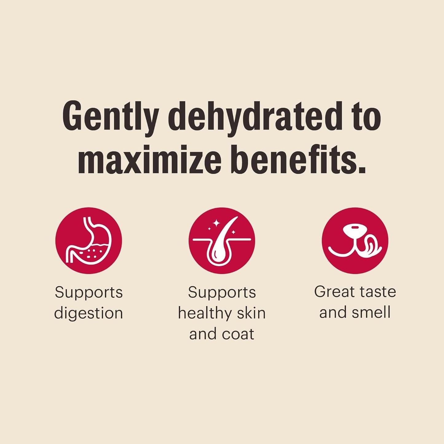 The Honest Kitchen Wholemade™ Dehydrated Grain Free Fruit & Veggie Base Mix Dog Food (Just Add Protein), 7 lb Box