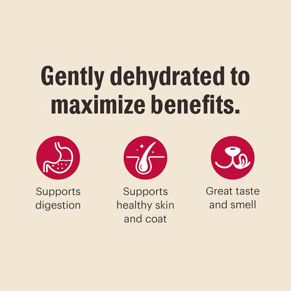 The Honest Kitchen Wholemade™ Dehydrated Whole Grain Chicken Dog Food, 10 lb Box