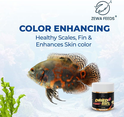 Dried Black Soldier Fly Larvae - 100% Natural Protein Rich Fish Food for Arowana, Flower Horn, Oscar, Redtail Shark (20 g/ 0.7 Oz/100 ml) (Pack of 2)