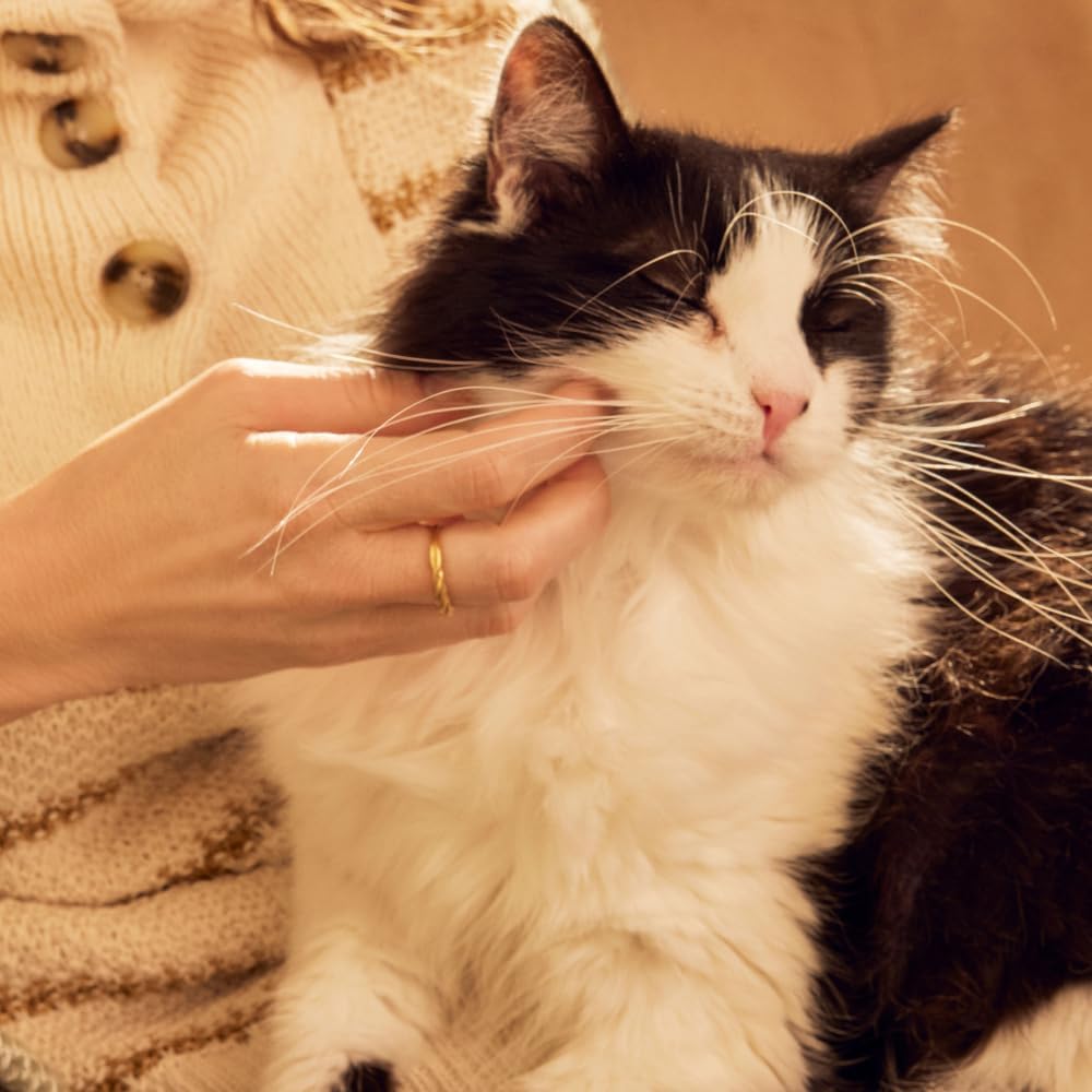 MRS. MEYER'S Clean Day Cat Deodorizing Spray, White Peach Scent, 8oz