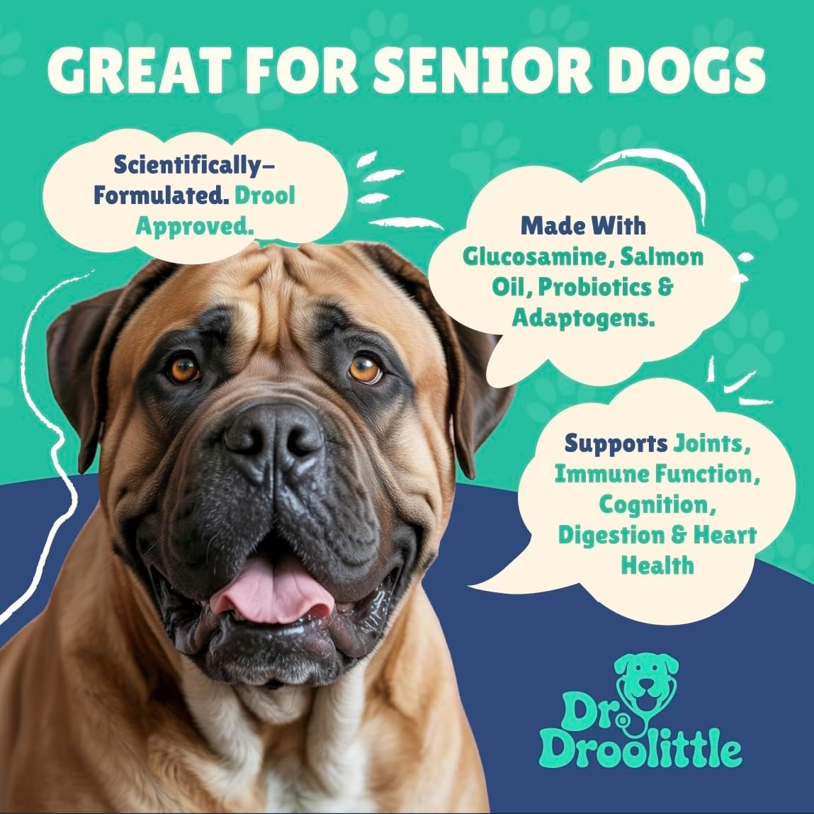 Senior Dog Supplement - Glucosamine, MSM, Turmeric, Salmon Oil, Probiotics & Ashwagandha - Supports Cognitive, Hip & Joint, Digestive, Immune & Heart Health - Dog Dementia Supplement.