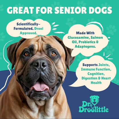 Senior Dog Supplement - Glucosamine, MSM, Turmeric, Salmon Oil, Probiotics & Ashwagandha - Supports Cognitive, Hip & Joint, Digestive, Immune & Heart Health - Dog Dementia Supplement.