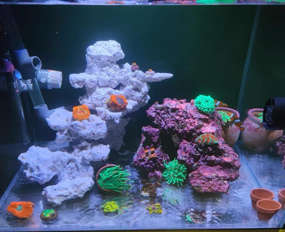 Dry Base Rock for Aquarium White Coral Ornament Sea Base Rocks for Aquarium Aquascaping (7lb,Mix Size & Shape)