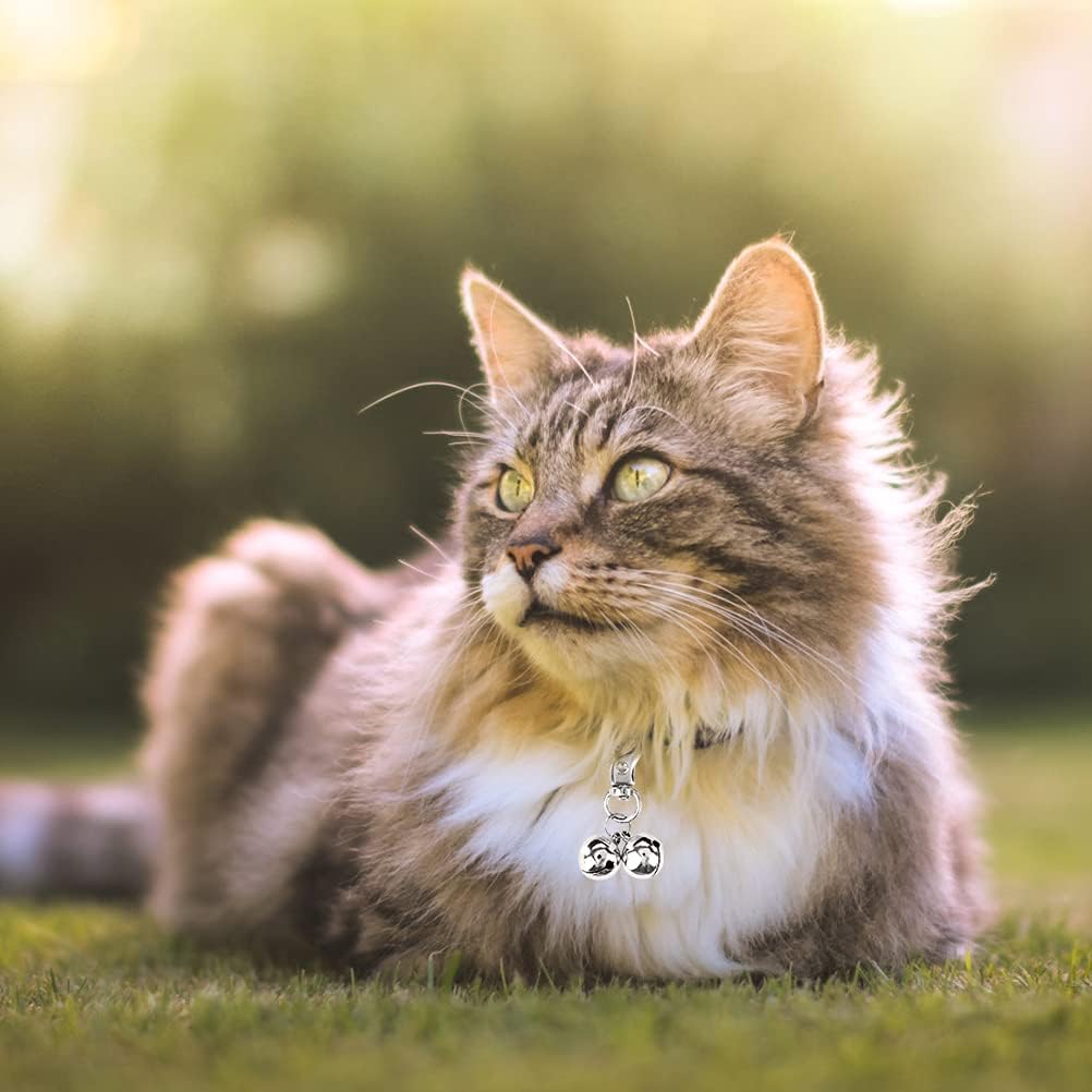EXPAWLORER Cat Bell 2 Pack - Cat Collar Accessories Bells Loud with Claw Buckle, Pet Jingle Charm Ornament Training Pendant Jewelry, Tracker for Saving Birds, Neck Decoration for Dogs Kitten, Silver