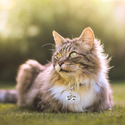 EXPAWLORER Cat Bell 2 Pack - Cat Collar Accessories Bells Loud with Claw Buckle, Pet Jingle Charm Ornament Training Pendant Jewelry, Tracker for Saving Birds, Neck Decoration for Dogs Kitten, Silver