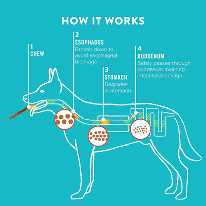 TRURANCH Collagen Rolls - 9" Collagen Rolls for Dogs - Long Lasting Healthy Joint Support Dog Treat - Rawhide Alternative - Skin & Coat Health - Made with Real Beef, 1 Bag, 3 Count