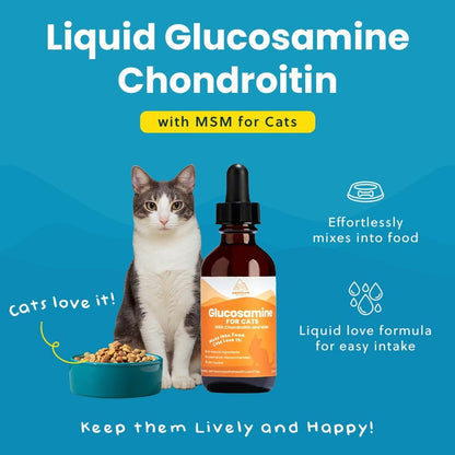 Liquid Glucosamine Chondroitin MSM for Cats, Hip & Joint Support Supplement, Helps Maintain Mobility and Flexibility, Senior Cat Glucosamine Drops for Daily Joint Care, 2oz